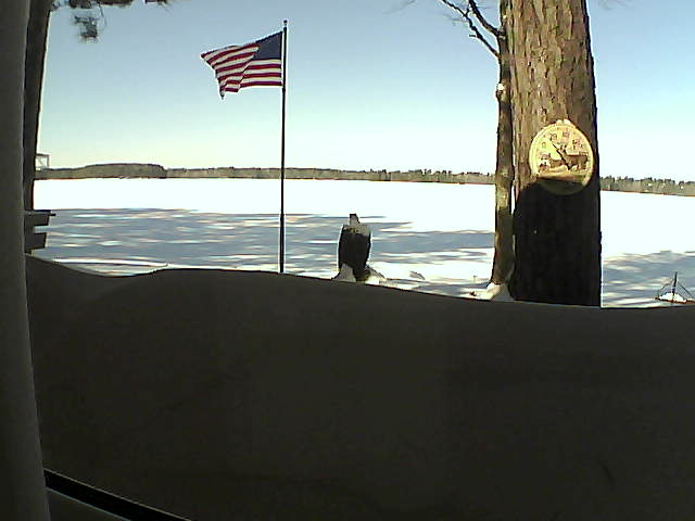 Whiteface Cam Image - Fri, 02/15/2019 11:15am 