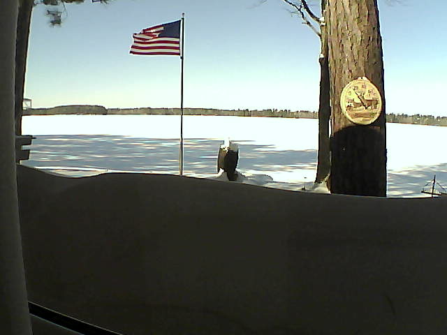 Whiteface Cam Image - Fri, 02/15/2019 11:25am 