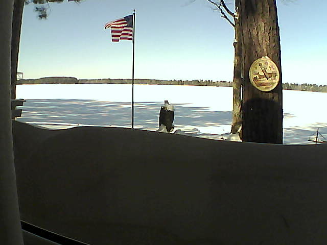 Whiteface Cam Image - Fri, 02/15/2019 11:35am 