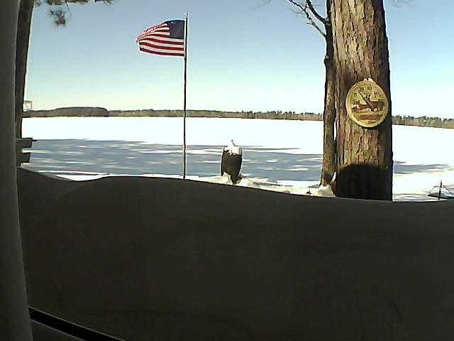 Whiteface Cam Image - Fri, 02/15/2019 12:05pm 