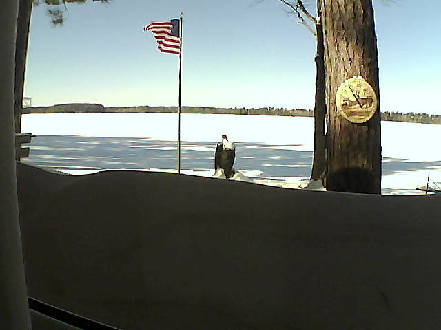 Whiteface Cam Image - Fri, 02/15/2019 12:15pm 