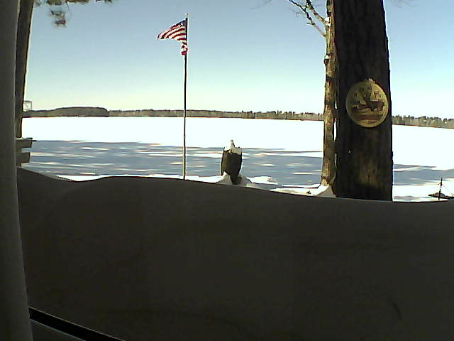 Whiteface Cam Image - Fri, 02/15/2019 12:25pm 