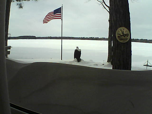 Whiteface Cam Image - Sat, 02/16/2019 12:24pm 