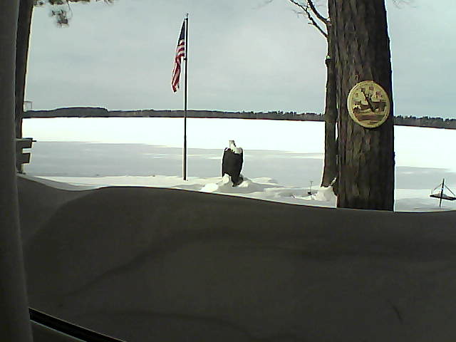 Whiteface Cam Image - Sat, 02/16/2019 12:34pm 