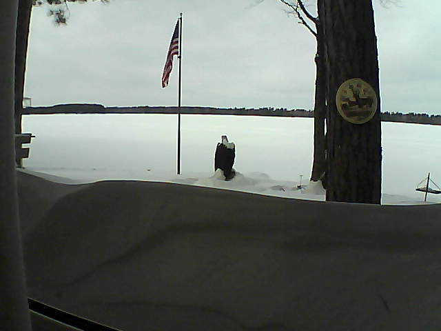 Whiteface Cam Image - Sat, 02/16/2019 12:44pm 