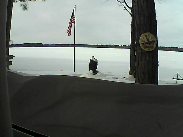 Whiteface Cam Image - Sat, 02/16/2019 12:54pm 