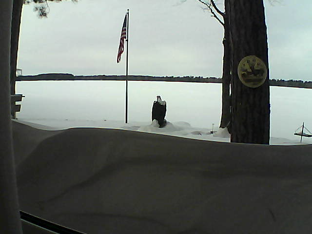 Whiteface Cam Image - Sat, 02/16/2019 1:14pm 