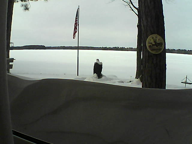 Whiteface Cam Image - Sat, 02/16/2019 1:24pm 