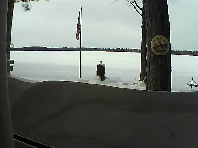 Whiteface Cam Image - Sat, 02/16/2019 1:34pm 