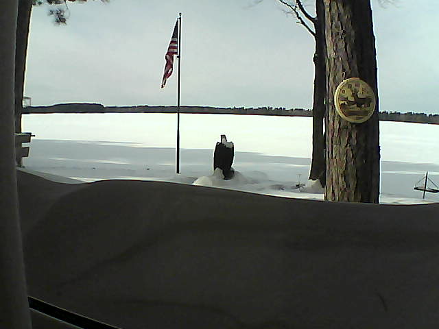 Whiteface Cam Image - Sat, 02/16/2019 1:54pm 