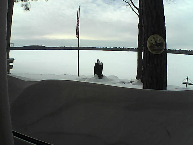 Whiteface Cam Image - Sat, 02/16/2019 3:54pm 