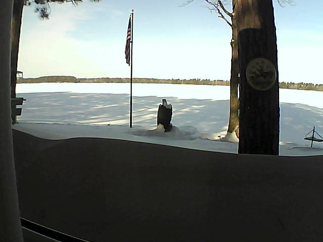 Whiteface Cam Image - Sun, 02/17/2019 9:22am 