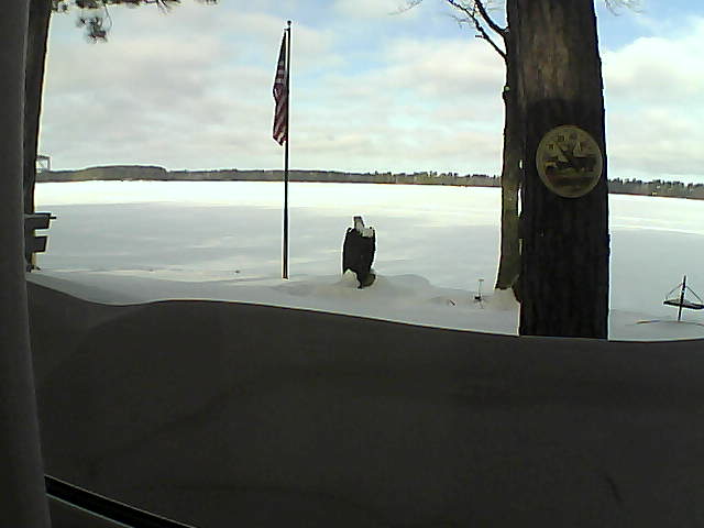 Whiteface Cam Image - Sun, 02/17/2019 9:52am 