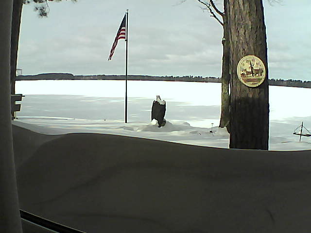 Whiteface Cam Image - Sun, 02/17/2019 11:32am 