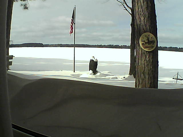 Whiteface Cam Image - Sun, 02/17/2019 12:52pm 