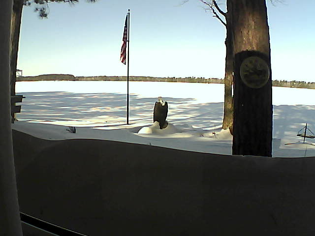 Whiteface Cam Image - Mon, 02/18/2019 9:59am 