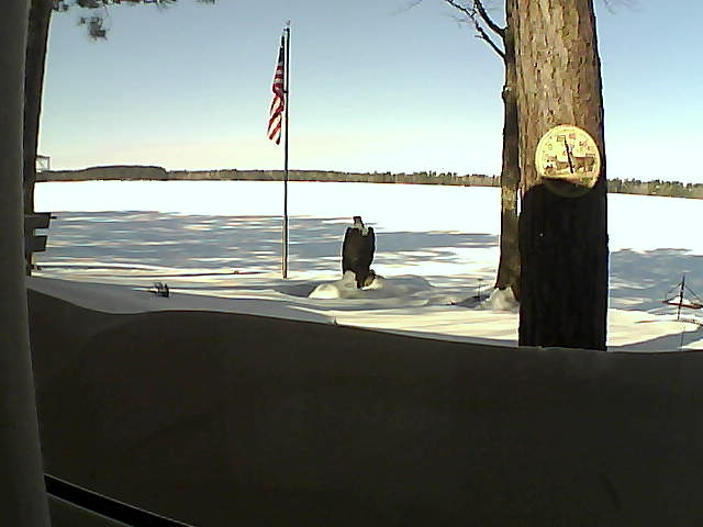 Whiteface Cam Image - Mon, 02/18/2019 10:59am 