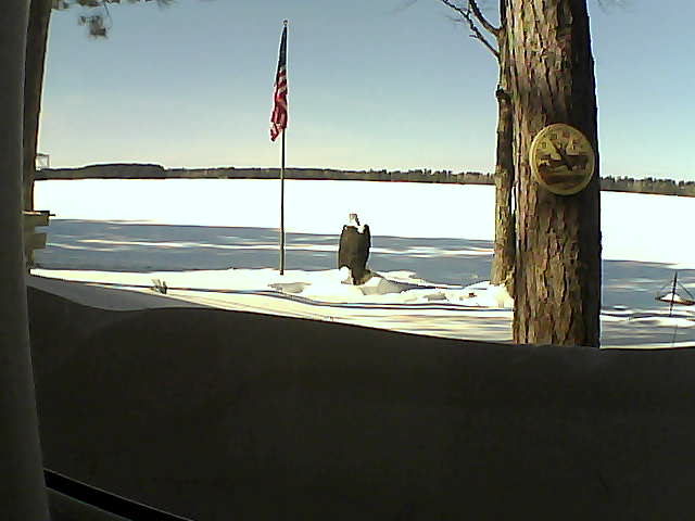 Whiteface Cam Image - Mon, 02/18/2019 1:09pm 