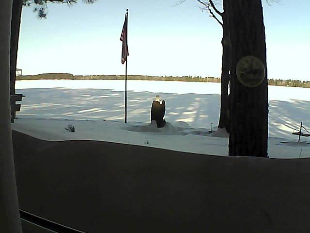 Whiteface Cam Image - Tue, 02/19/2019 8:57am 