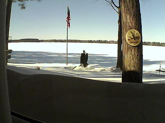 Whiteface Cam Image - Tue, 02/19/2019 12:17pm 