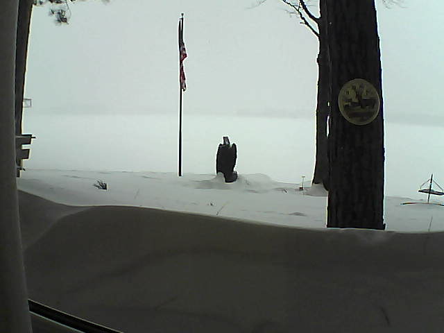 Whiteface Cam Image - Wed, 02/20/2019 1:47pm 