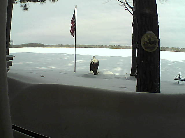 Whiteface Cam Image - Thu, 02/21/2019 9:04am 