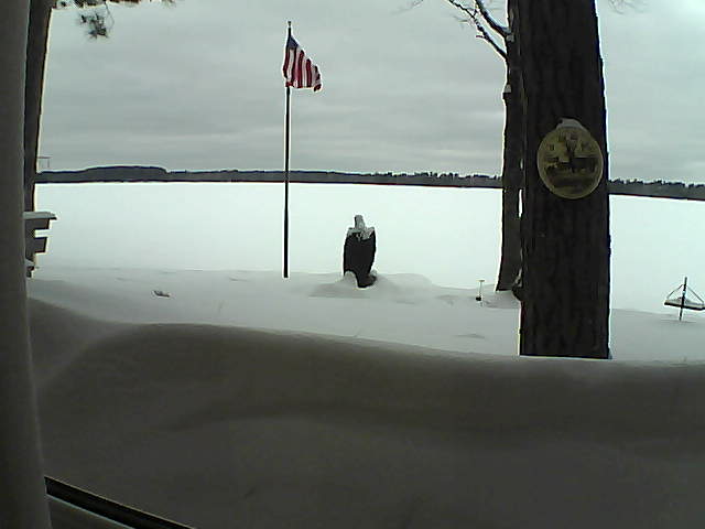 Whiteface Cam Image - Thu, 02/21/2019 2:05pm 