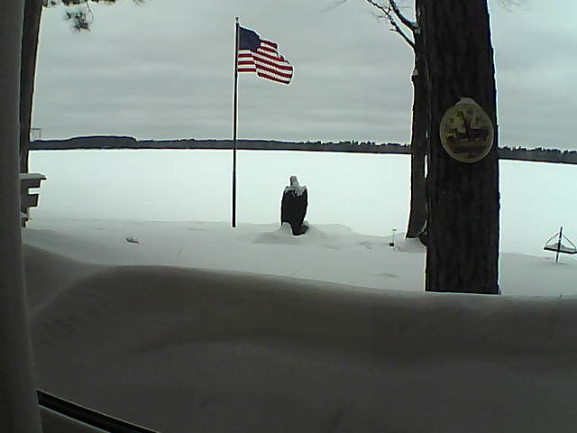 Whiteface Cam Image - Thu, 02/21/2019 3:25pm 