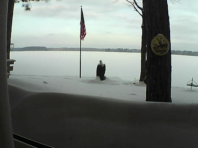 Whiteface Cam Image - Fri, 02/22/2019 8:02am 