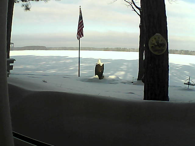 Whiteface Cam Image - Fri, 02/22/2019 9:02am 