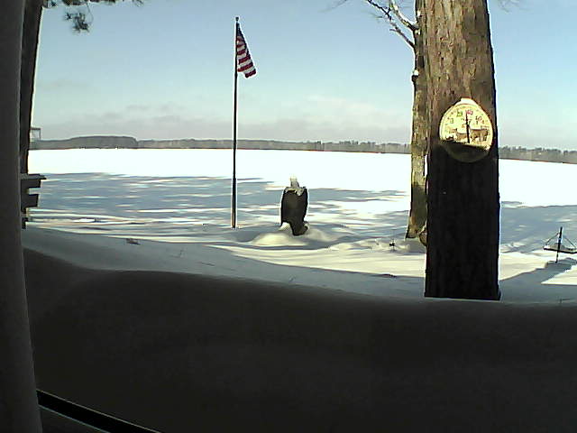 Whiteface Cam Image - Fri, 02/22/2019 10:42am 