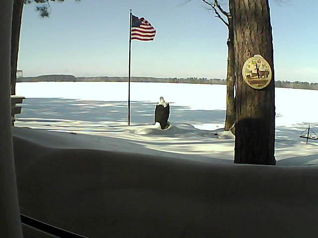 Whiteface Cam Image - Fri, 02/22/2019 11:42am 