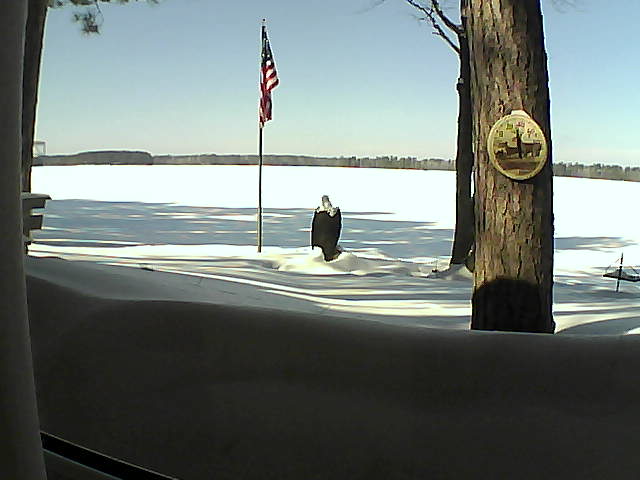 Whiteface Cam Image - Fri, 02/22/2019 12:13pm 