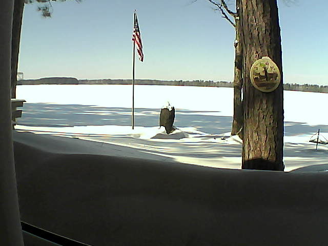 Whiteface Cam Image - Fri, 02/22/2019 12:33pm 