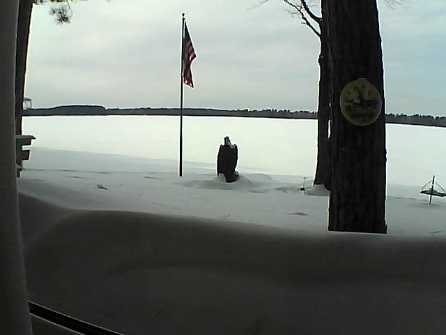 Whiteface Cam Image - Fri, 02/22/2019 3:13pm 