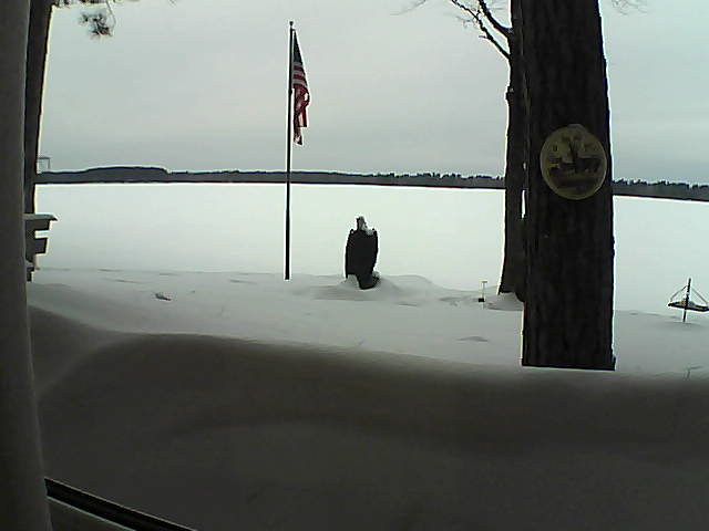 Whiteface Cam Image - Fri, 02/22/2019 3:43pm 