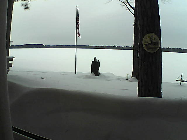 Whiteface Cam Image - Fri, 02/22/2019 4:13pm 