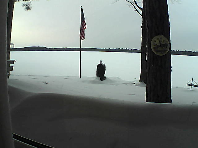 Whiteface Cam Image - Fri, 02/22/2019 4:23pm 