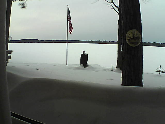 Whiteface Cam Image - Fri, 02/22/2019 4:33pm 