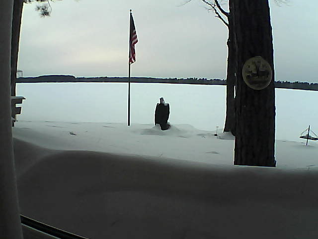 Whiteface Cam Image - Fri, 02/22/2019 4:43pm 