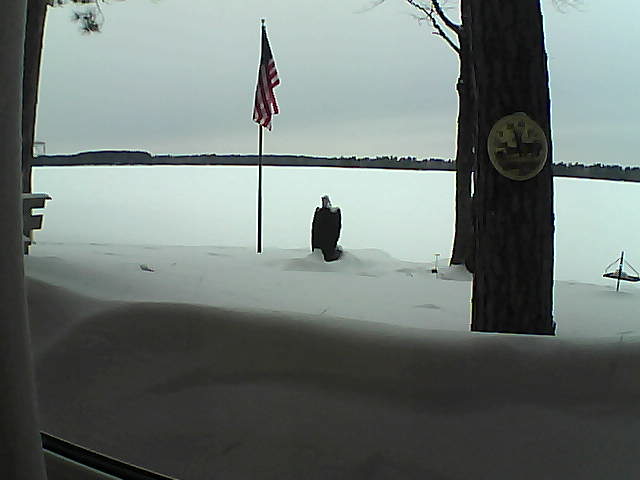 Whiteface Cam Image - Fri, 02/22/2019 5:03pm 