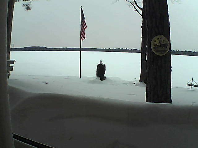 Whiteface Cam Image - Fri, 02/22/2019 5:23pm 