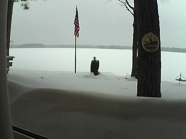 Whiteface Cam Image - Sat, 02/23/2019 8:10am 