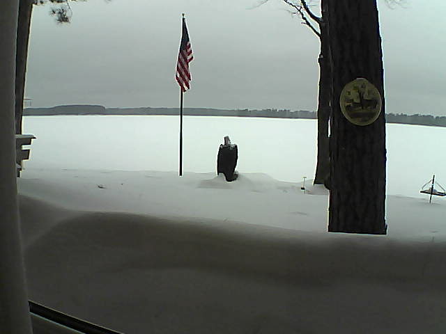 Whiteface Cam Image - Sat, 02/23/2019 9:30am 