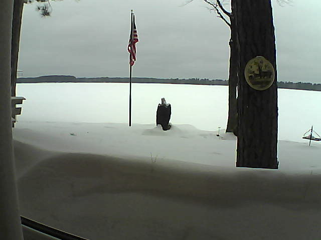 Whiteface Cam Image - Sat, 02/23/2019 11:10am 