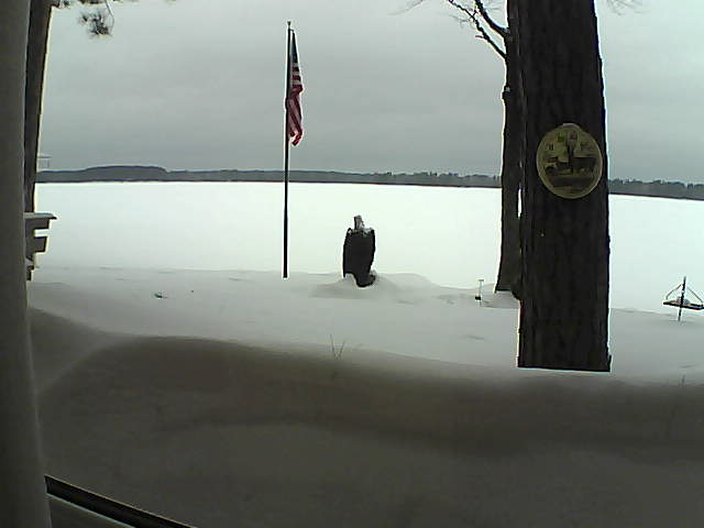 Whiteface Cam Image - Sat, 02/23/2019 11:20am 