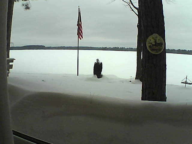 Whiteface Cam Image - Sat, 02/23/2019 12:50pm 