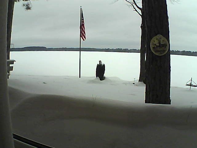 Whiteface Cam Image - Sat, 02/23/2019 1:00pm 