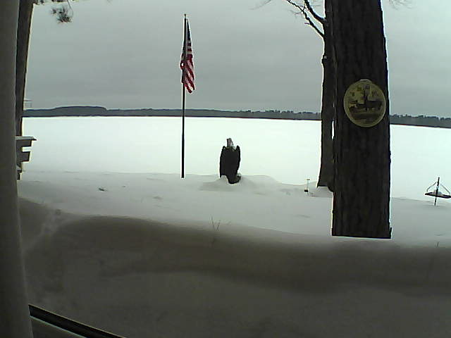 Whiteface Cam Image - Sat, 02/23/2019 1:50pm 