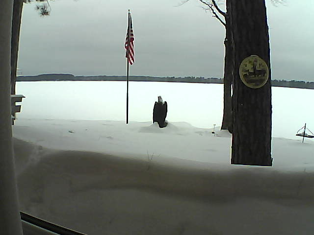 Whiteface Cam Image - Sat, 02/23/2019 2:50pm 